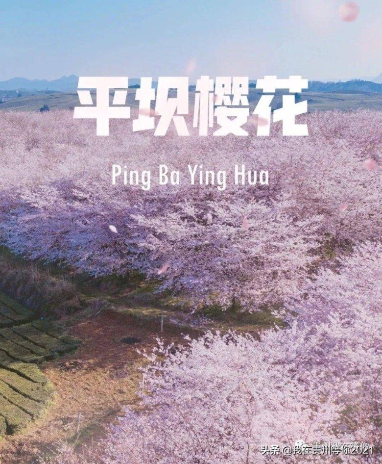 win11 夜间模式 没反应-最有趣的机智问答网页